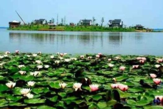 临海临湖游玩攻略,临海灵湖在哪