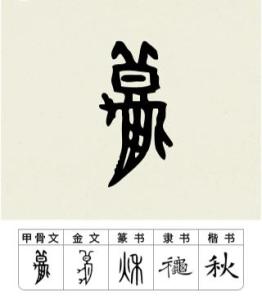 秋-字形演变