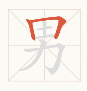 书写演示
