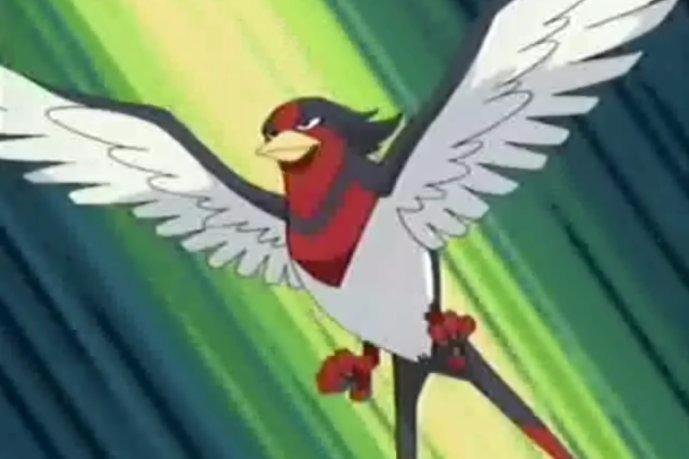 大王燕_搜狗百科