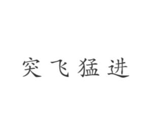 快速发展的成语 300