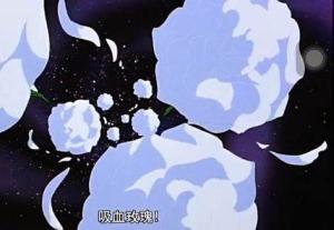 血腥玫瑰