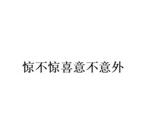 惊不惊喜意不意外 - 搜狗百科