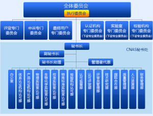 CNAS组织机构图