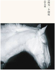 迈向另一个国度