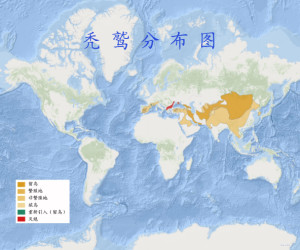 秃鹫分布图