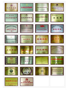 荣誉奖项