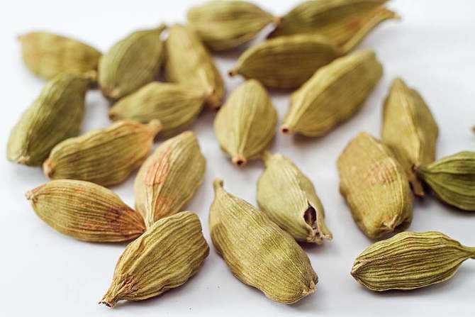 小豆蔻(姜科小豆蔻属植物)_搜狗百科
