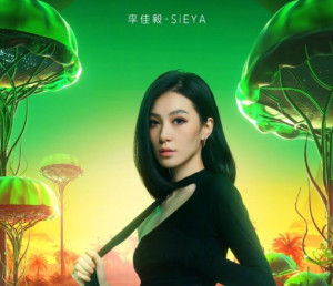 李佳毅