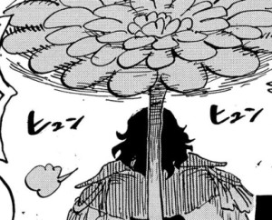 自然系·森森果实