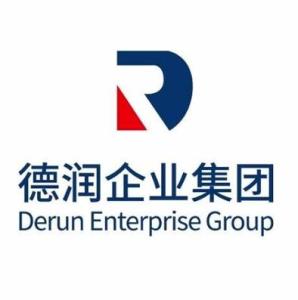 赛迪集团全称 300