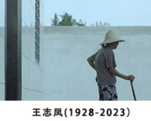 王志凤