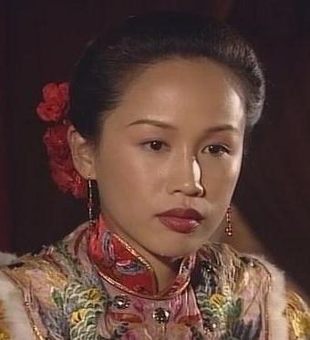 搜索电视剧雪山飞狐 0