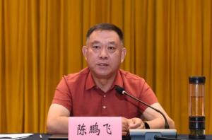 陈鹏飞