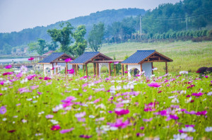 木兰草原