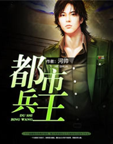都市兵王叶昊