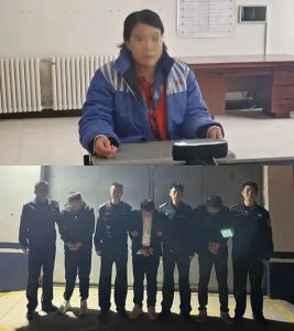 张美丽等人被依法处罚