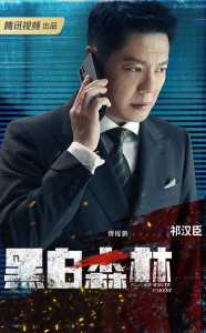 探索黑白森林，免费观看短剧的乐趣之旅，探索黑白森林，免费短剧的乐趣之旅
