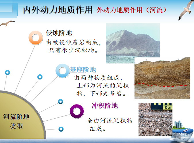 内生力的作用与功效 0