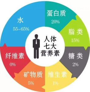 营养物质