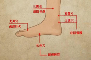复溜穴 _ 百科