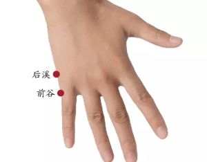 后溪穴