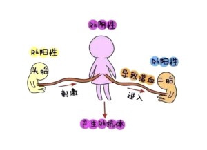 溶血反应 - 搜狗百科