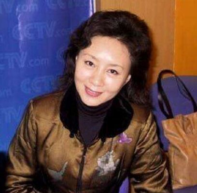 李平(中央电视台主持人)_搜狗百科