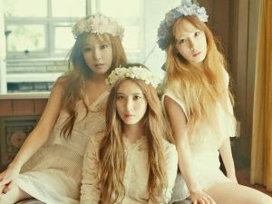 TaeTiSeo