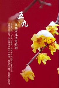 五九 - 搜狗百科