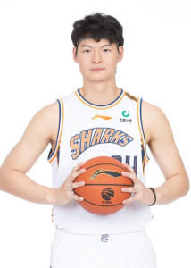 王哲林
