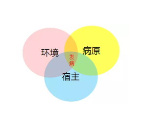 宿主 - 搜狗百科
