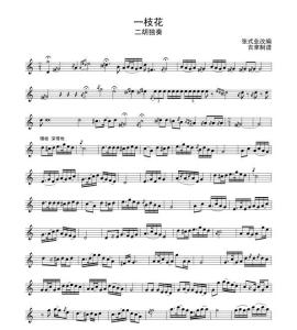 一枝花 - 搜狗百科