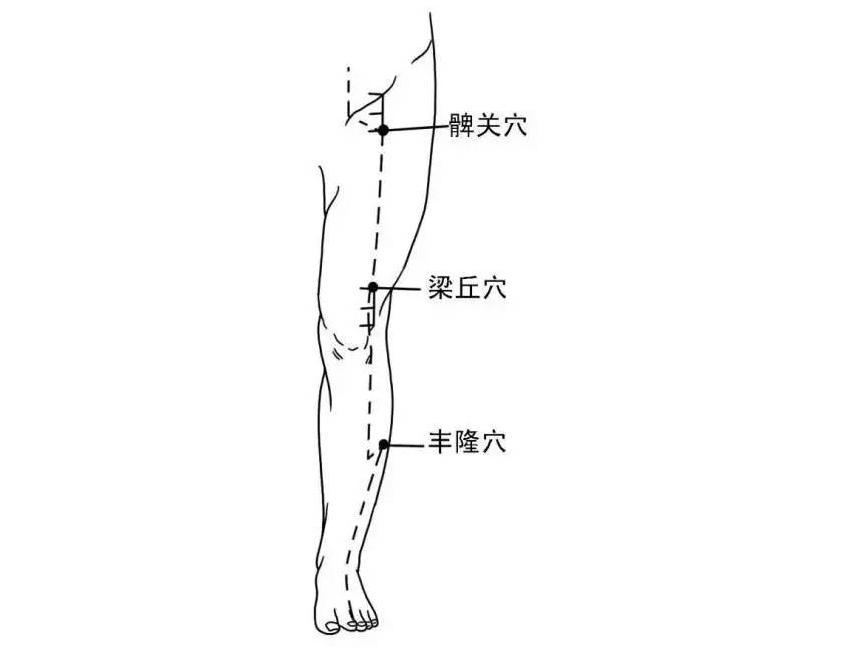 足阳明胃经(人体十二经脉)_搜狗百科