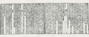 《临海水土志》