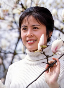 杨海莲