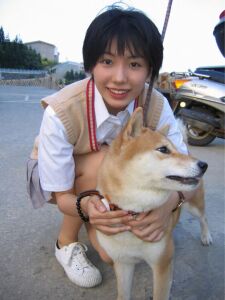 夏甄