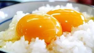 蛋黄