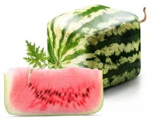 方形西瓜