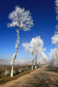 田家河乡 田家河乡