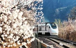 市郊铁路S2线掠影