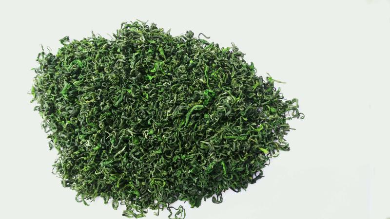 日照绿茶