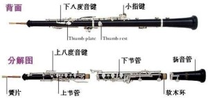 双簧管结构组成
