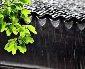 梅雨 搜狗百科 梅雨 搜狗百科