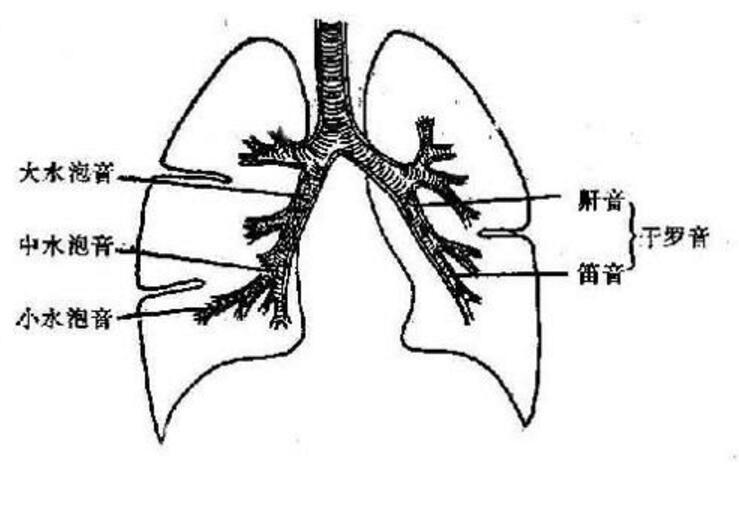 湿罗音