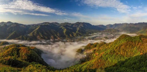 空山天盆景区