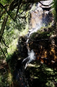 呀诺达雨林文化旅游区