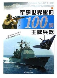 世界武器排名100 300