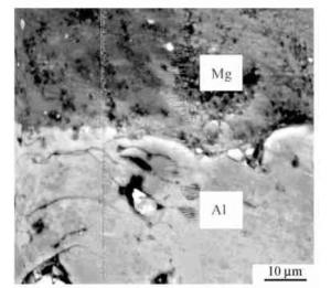 图3 镁基体与铝涂层界面元素分布