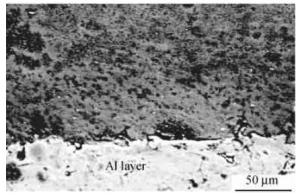 图2 镁基体与铝涂层的界面形貌